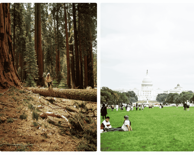 impostos estados unidos