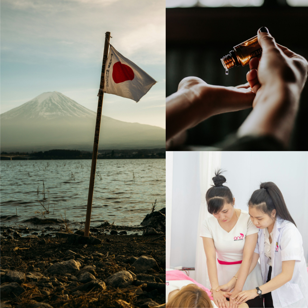 seguro saude japao