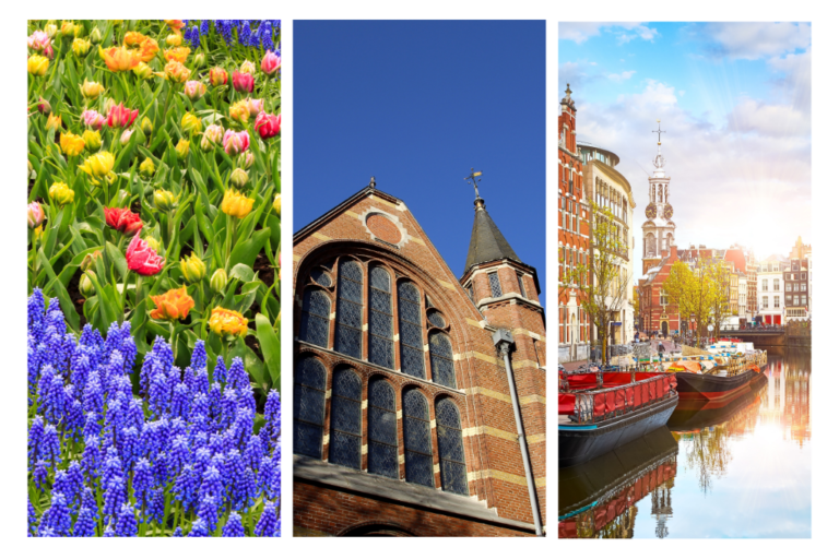 viver na Holanda: campos de tulipas, museus e canais