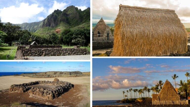 voluntariado no hawaii