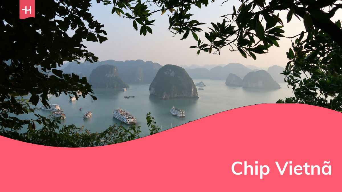 uma vista da floresta de barcos navegando no Vietnã