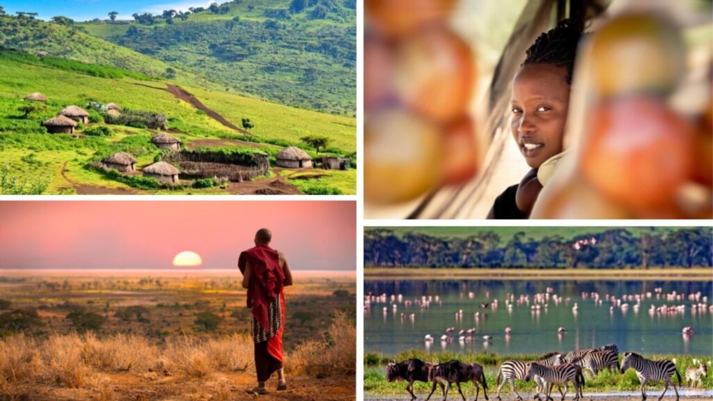 voluntariado na tanzania