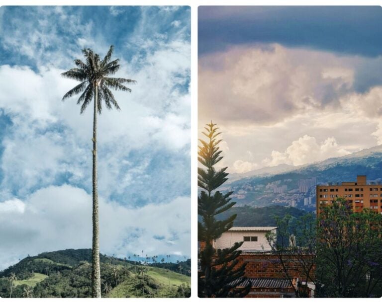 viver na colômbia, conhece o país mais biodiverso