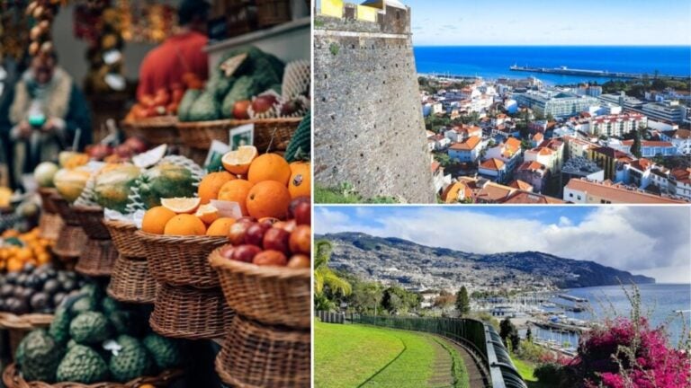 viver na madeira
