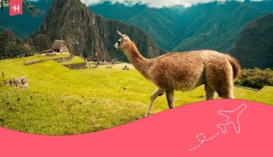viver no peru