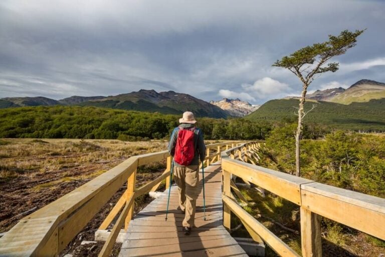 Faça uma caminhada em Ushuaia no inverno, independentemente de nevar ou não.