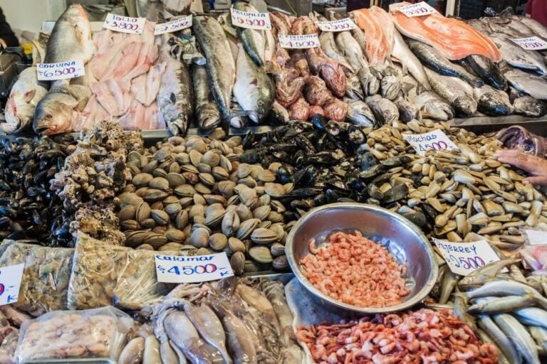 O que fazer em Santiago do Chile? encontrar mariscos e frutos do mar frescos.