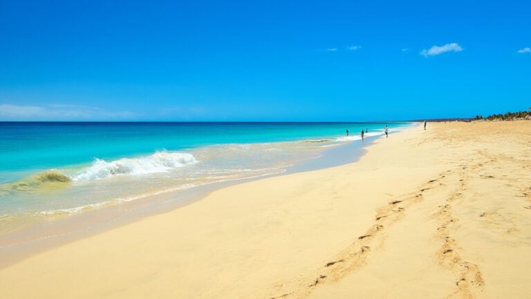 Boa Vista é famosa pelas suas praias de areia branca a perder de vista, dunas desérticas e águas azul-turquesa.