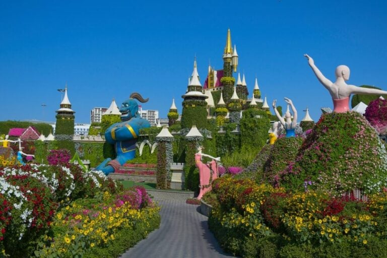 O Dubai Miracle Garden é o maior jardim de flores naturais do mundo, estendendo-se por mais de 72.000 metros quadrados e exibindo uma impressionante marca de mais de 150 milhões de flores em pleno florescimento.