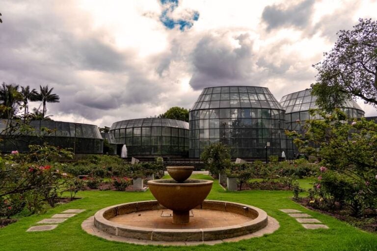 O Jardín Botánico de Bogotá José Celestino Mutis é o maior jardim botânico da Colômbia