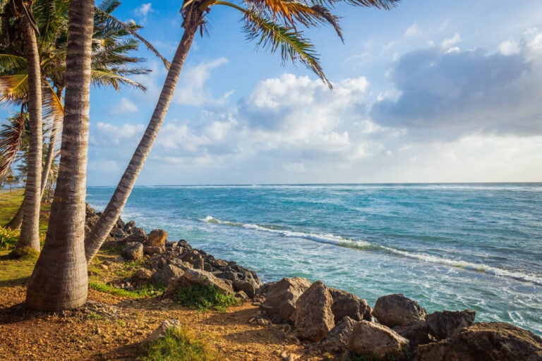 Não importa onde você esteja na ilha, suas águas sempre surpreendem.