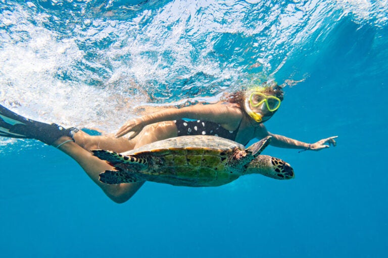 Snorkeling com tartarugas nas Maldivas