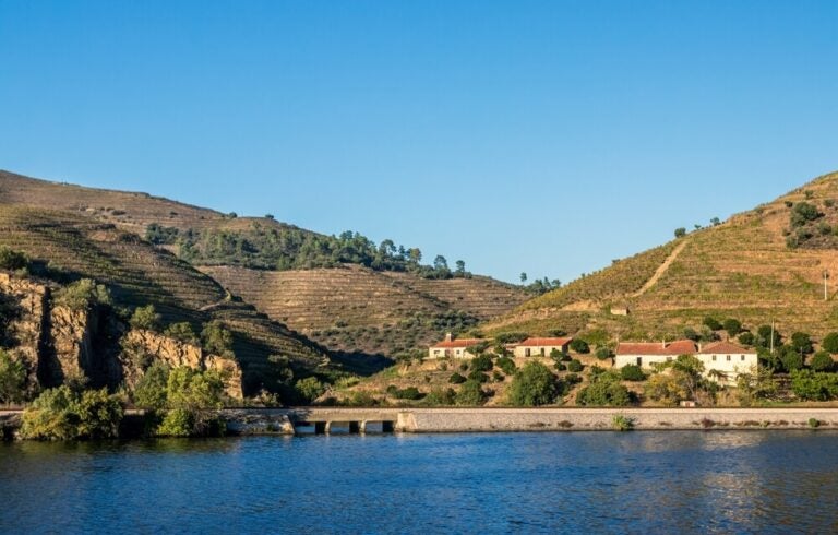Os cruzeiros fluviais no rio Douro oferecem passeios deslumbrantes pelas paisagens vinhateiras classificadas pela UNESCO, com opções que vão desde viagens curtas de poucas horas até cruzeiros de vários dias em barcos-hotel.