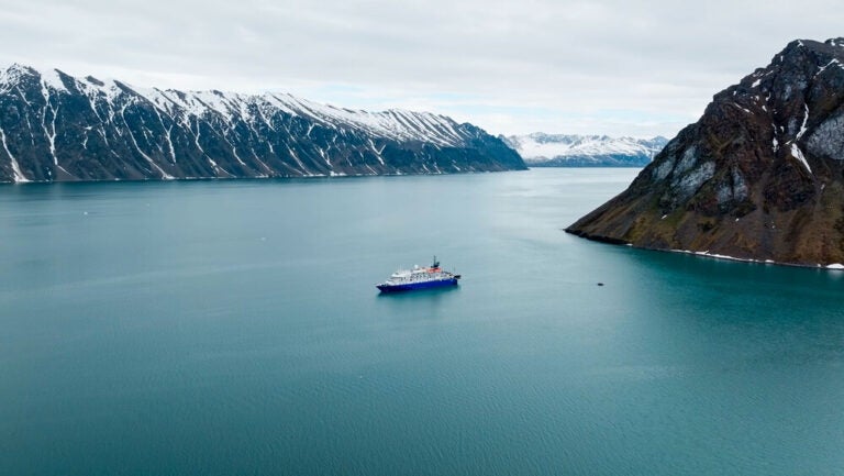 Um cruzeiro pelos fiordes da Noruega oferece uma viagem por paisagens de águas calmas, falésias gigantes e vilas pitorescas.