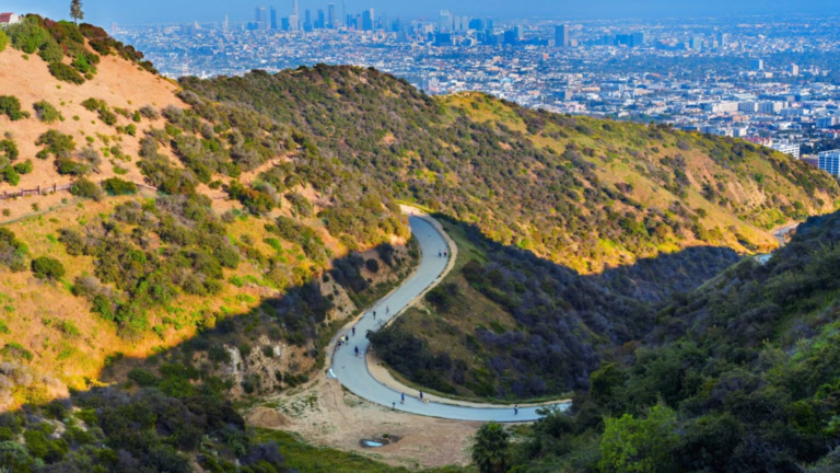 Explore as trilhas e as belas paisagens do Runyon Canyon, um dos lugares favoritos dos moradores nos fins de semana.