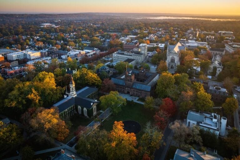 Visitar Princeton vale a pena pelo seu charme clássico de cidade universitária americana, rica história e belas paisagens arborizadas.