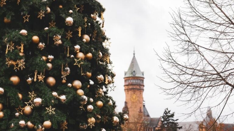O Sapin Royal faz parte das tradições mais marcantes dos mercados de Natal do Luxemburgo