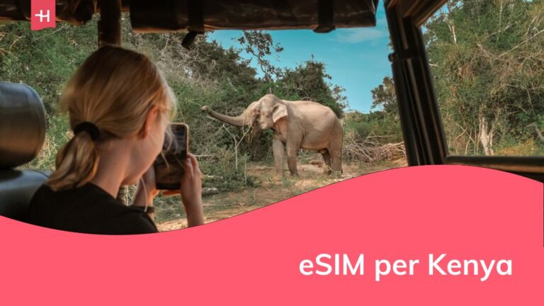 Safari nella natura selvaggia. Viaggio ecologico nella giungla con elefanti selvatici.