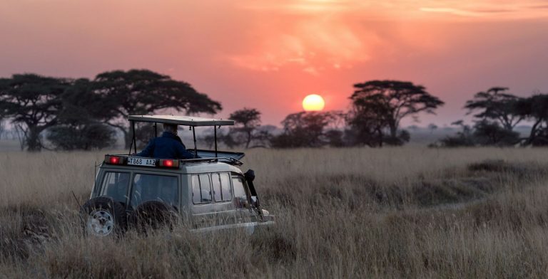 SIM Tanzania, SIM Zanzibar, Vodafone in Tanzania