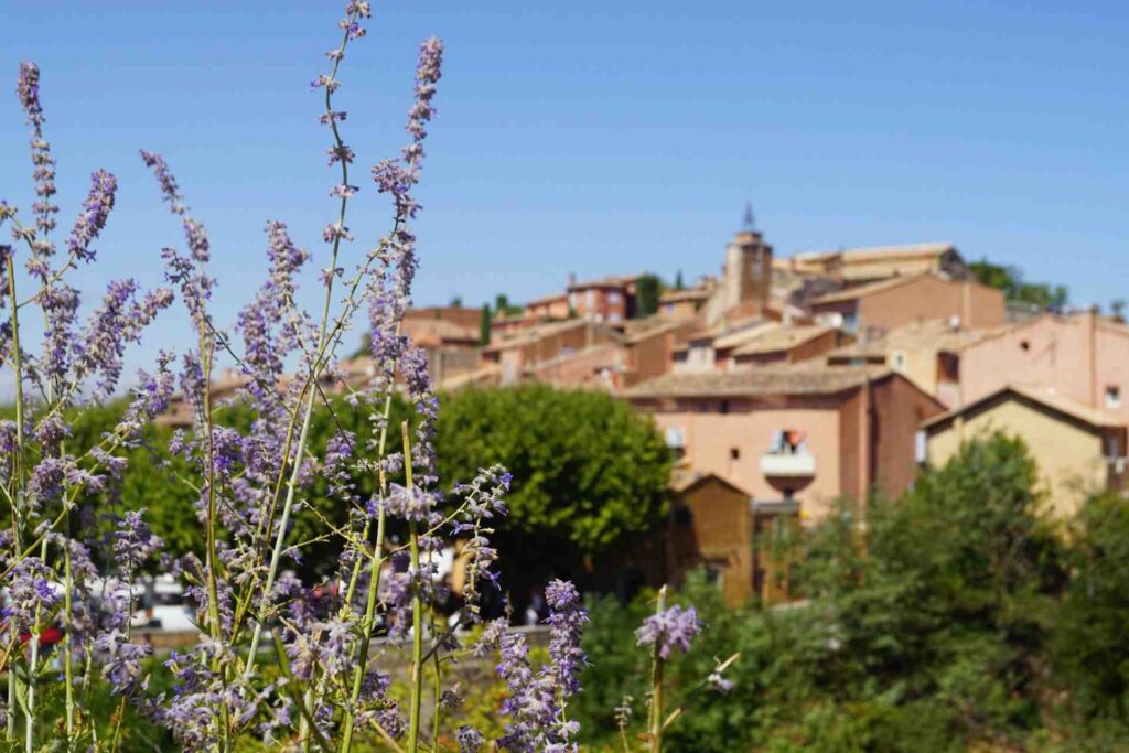 Fiori di lavanda e case di paese Roussillon, Francia