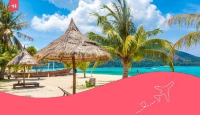 Ombrellone, lettino e palma su una spiaggia tropicale in una giornata di sole