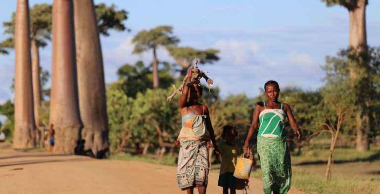 Madagascar quando andare, Madagascar periodo migliore, Madagascar clima, quando andare in Madagascar, Madagascar passaporto