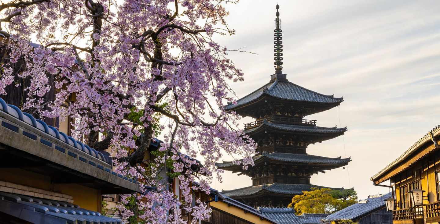 cosa fare a Kyoto, cose da fare a Kyoto, cosa fare la sera a Kyoto, cosa vedere a Kyoto