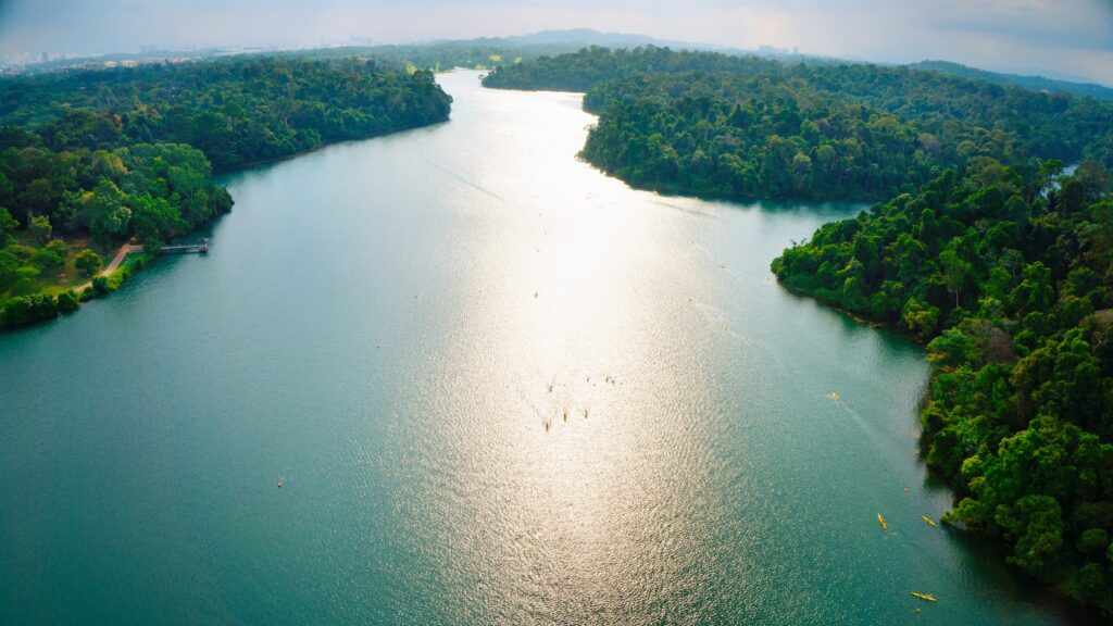 Bacino idrico di MacRitchie