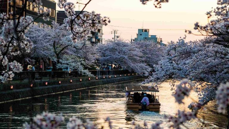 cosa fare a Kyoto, cose da fare a Kyoto, cosa fare la sera a Kyoto, cosa vedere a Kyoto