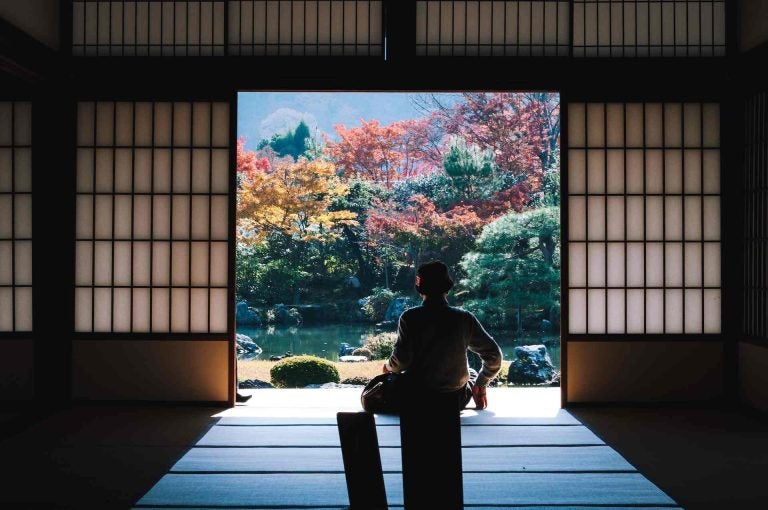cosa fare a Kyoto, cose da fare a Kyoto, cosa fare la sera a Kyoto, cosa vedere a Kyoto