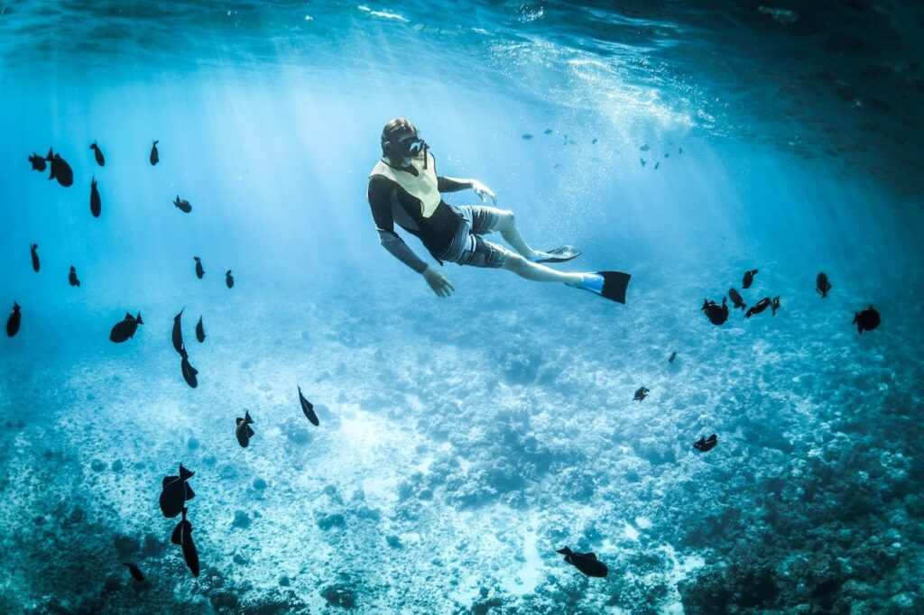 cosa fare a Cancun, cosa vedere a Cancun