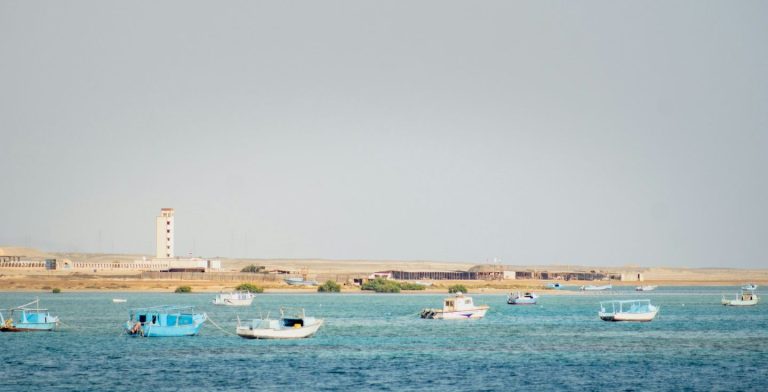 Marsa Alam quando andare, quando andare a Marsa Alam, periodo migliore Marsa Alam, periodo migliore per andare a Marsa Alam, Marsa Alam mare