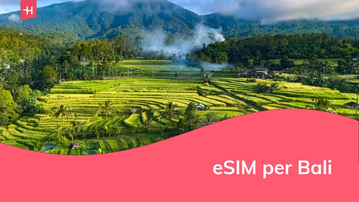 Panorama delle terrazze di riso di Jatiluwih nel distretto di Penebel, reggenza di Tabanan, Bali, Indonesia. Sito patrimonio culturale mondiale dell'UNESCO.