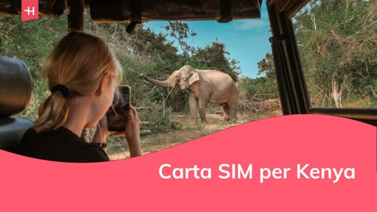 Safari nella giungla con animali selvatici ed elefanti.