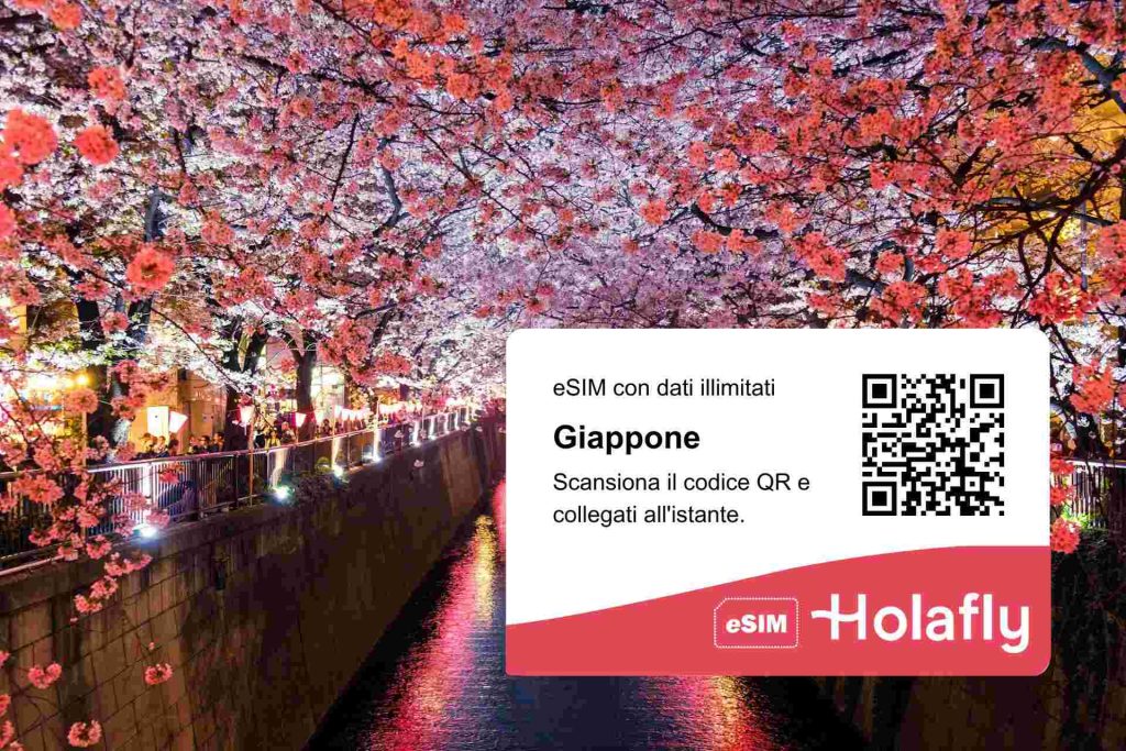 Ciliegi in fiore lungo una via in Giappone e QR code di Holafly.