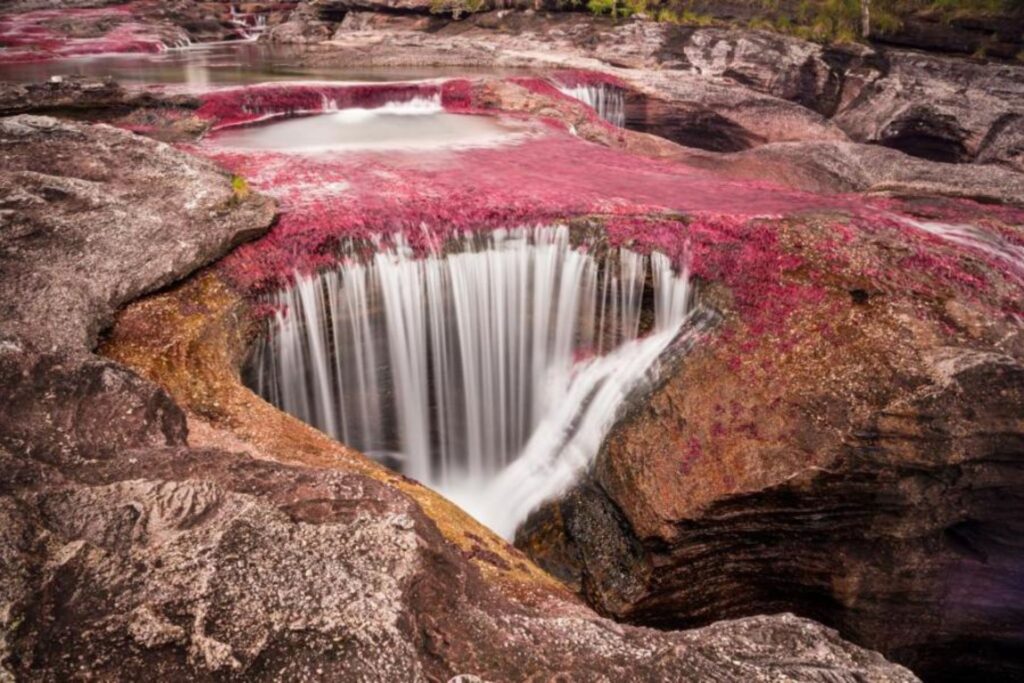 Il fiume dei cinque colori