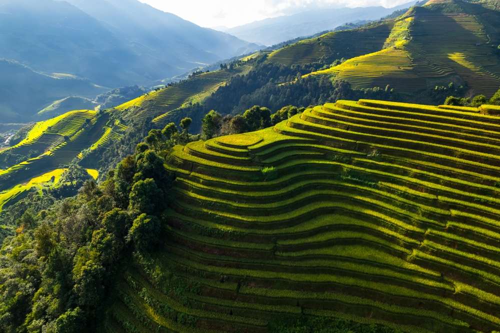 Vista aerea con drone della risaia di La Pan Tan, vicino a Sapa, Vietnam