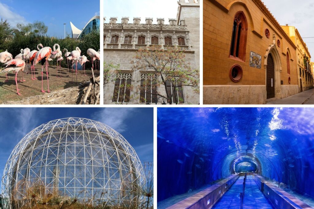 Città delle Arti e delle Scienze, Oceanogràfic, Museo della Seta e Bioparc di Valencia.