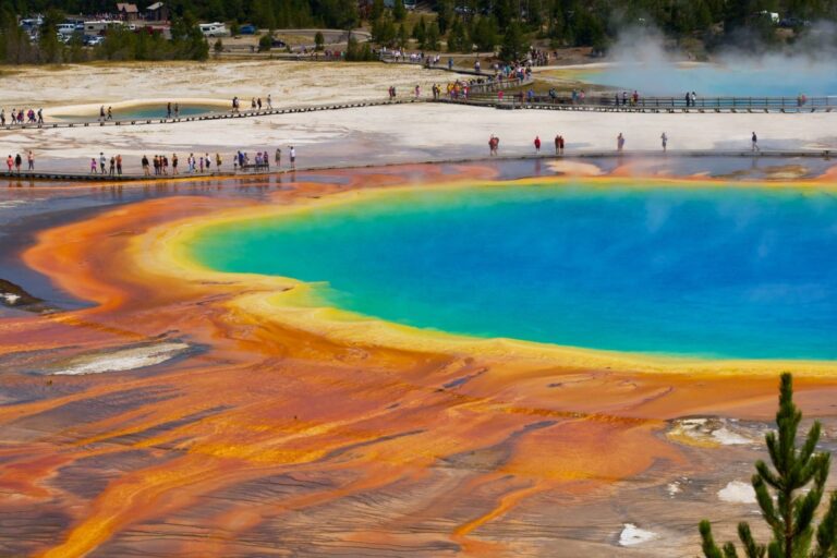 Parco Nazionale Yellowstone
