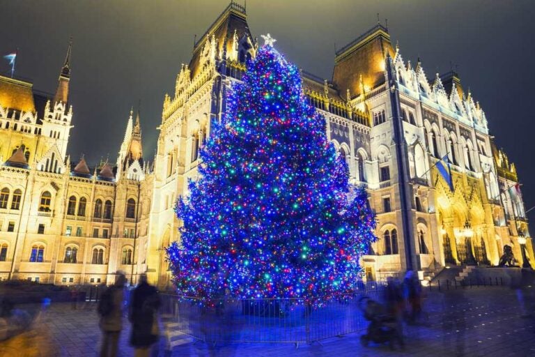 Albero di Natale davanti al Palazzo del Parlamento, in piazza Kossuth, a Budapest, in Ungheria