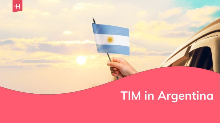 Sventolare la bandiera argentina al tramonto o all'alba da un'auto che percorre una strada di campagna.