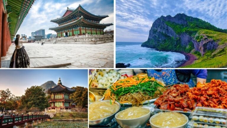 guidare in corea del sud