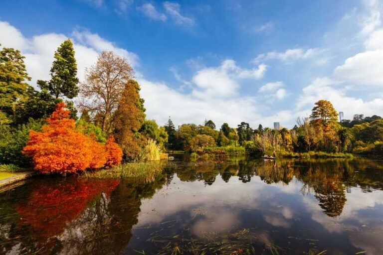 I Giardini Botanici Reali del Victoria in una fresca mattina d'autunno a Melbourne, Victoria, Australia