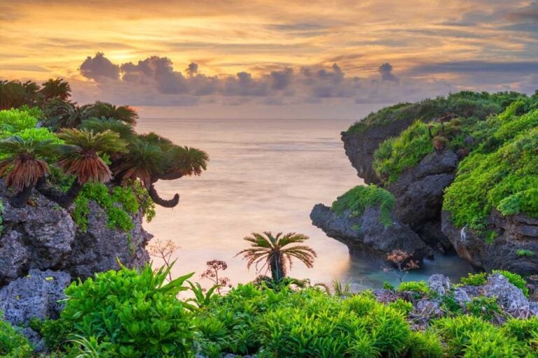 Litorale naturale di Iriomote, Okinawa, Giappone.