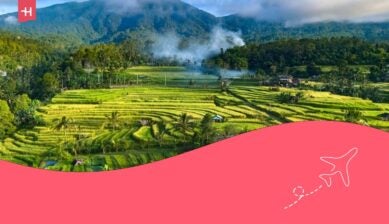 Panorama delle terrazze di riso di Jatiluwih nel distretto di Penebel, nella reggenza di Tabanan, Bali, Indonesia.