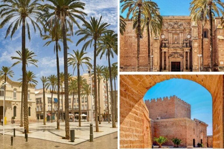 le vie e le piazze di almeria con le palme