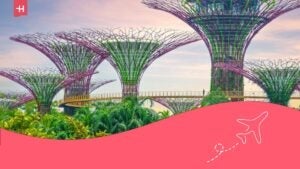 vivere a singapore