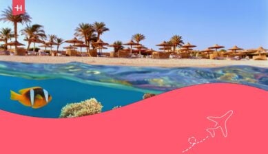 La spiaggia con palme e ombrelloni sullo sfondo, Mar Rosso, Egitto