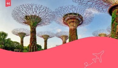 I Supertrees di Singapore nel Garden by the Bay a Bay South, Singapore