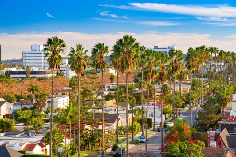 Vista dello skyline da un tetto a Beverly Hills, California, USA, con particolare sulle palme.